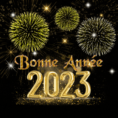 Bonne annee 2023 gif