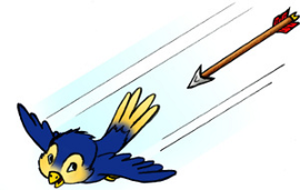Abat oiseau image