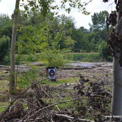 Campagne 6