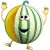 Melon